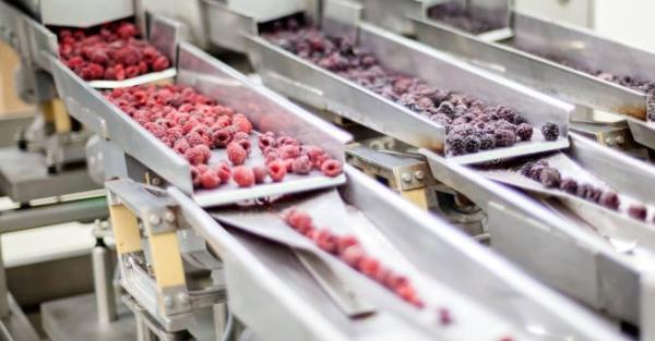 Creation of fruit processing and canning production